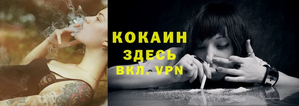 прущая мука Арсеньев
