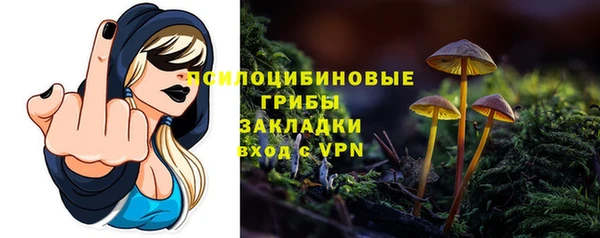 прущая мука Арсеньев