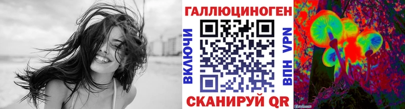 Псилоцибиновые грибы Psilocybe  Дно 
