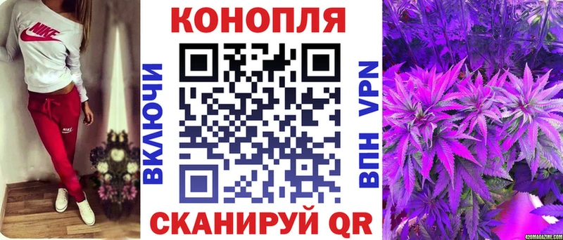 Марихуана семена  цены   Дно 